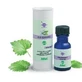 TEEBAUMÖL ESS BIO 15ML