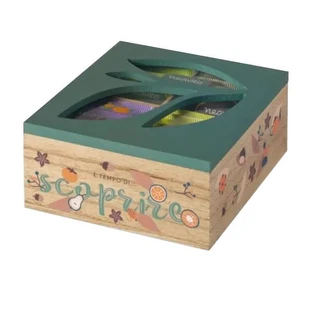 Neavita Bio Groene Houten Doos Set 6 Compartimenten 30 Geassorteerde Kruidenthee
