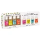 KIRSCHBEEREN SORBETS DIS KIT