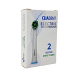 Cliadent daily clean head