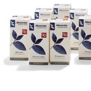 PRIMULA TM 100ML