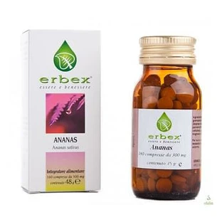 Ananas Gmb 160 tabletten