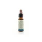 GORSE 10ML DI LEO