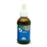 Mater Meidoorn Moeder Tinctuur 50 Ml