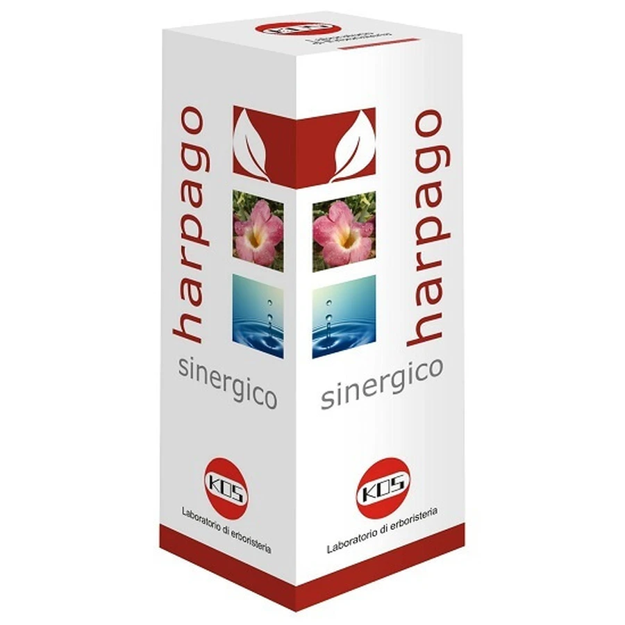 HARPAGO SYNERGISTIC GTT 100ML KO: ceny i cechy