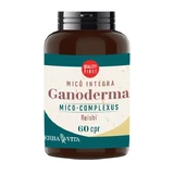 Mico Integra Ganoderma Reishi 60 Herb Life Tablets