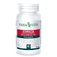 Echinacea 60cps 500mg