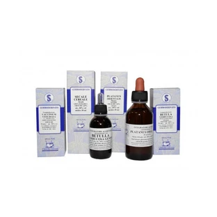 Ginkgo Biloba 60 Ml Macérat Glycérique