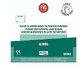 Latt Handschoen 344157 Chir Pf 8