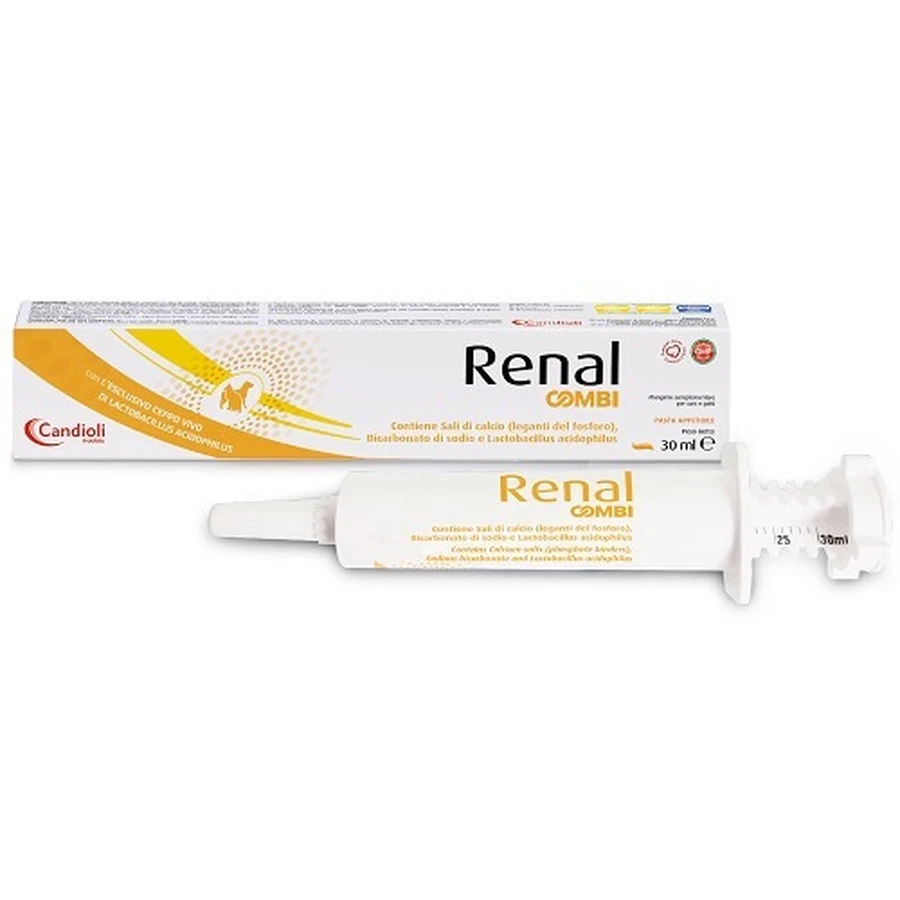 RENAL Kombi-Paste 30ml