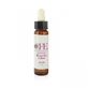 Remedium 5 Bloemen Bloemen Essences 10ml