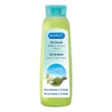 ALVITA GEL DE DUCHA FLORES AR/TE'