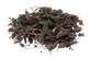 Mimosa tenuiflora in Rinde Kräutertee geschnitten 100 g