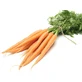 Carotte Fruits - 100 Gr