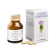 Mariadistel 50 Capsules