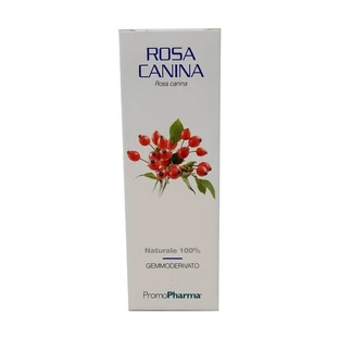 Gemmoderivate z dzikiej róży 50 ml