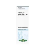 Bosbes Hydroalcoholische Tinctuur 50 Ml Ebv