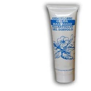Gemiflorbi Artig Gel Diav 100g