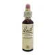 Moutarde Bach Center 20ml
