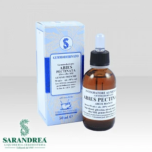 Macerat glicerynowy Abies Pectinata 60 ml