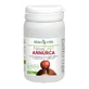 NEWCAP ANNURCA 45 GÉLULES HERB VITA