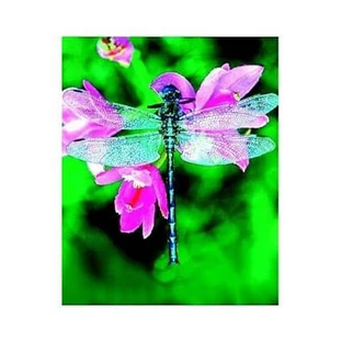 Dragonfly Ess 30ml