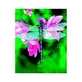 Dragonfly Ess 30ml