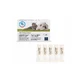 SKIN ENERGY CICATREX 5 fiole x 3ml