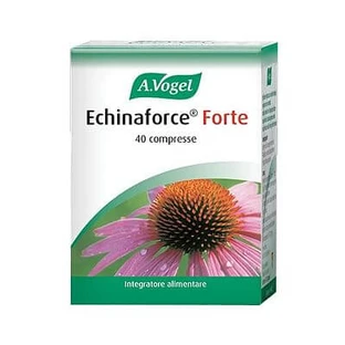 Avogel Echinaforce Forte 40 Comprimés
