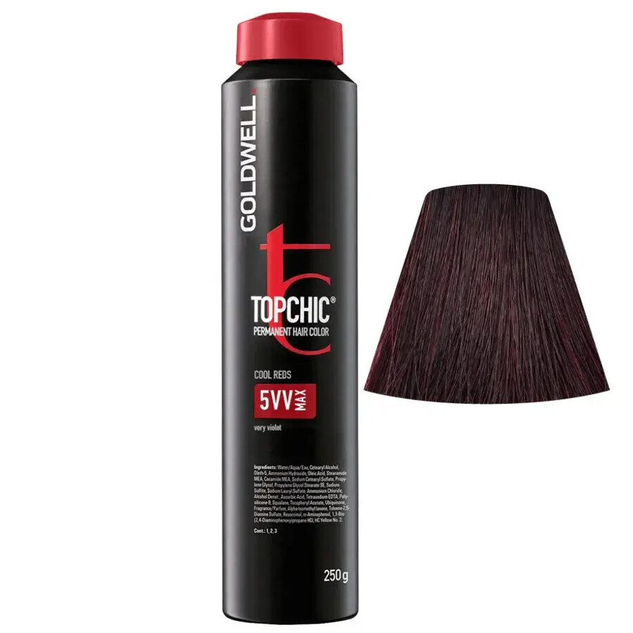 Goldwell Top Chic Can 5VV Max Permanent Paint 250ml 