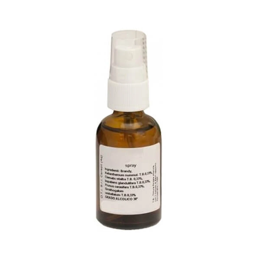 ESID 10 HIER UND JETZT SPRAY50ML