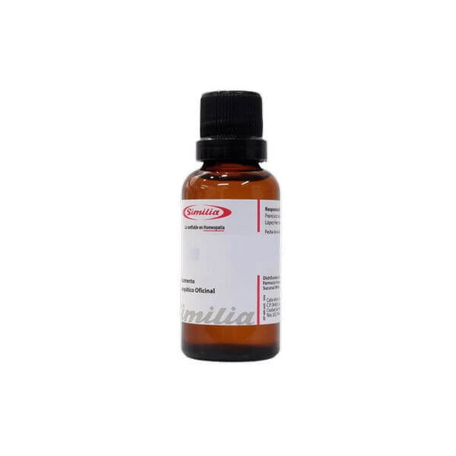 E6 BIRKE 10ML