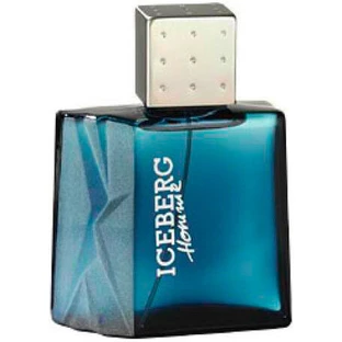 IJSBERG HOMME EDT 100 VAPO