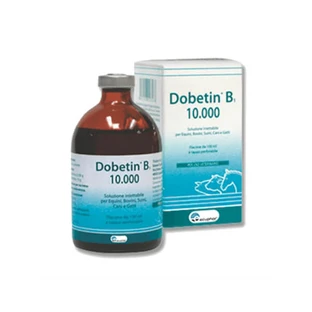 Dobetin B1 10000 Flasche 100ml