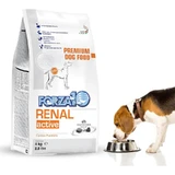 Forza10 Renal active vet - Alleinfuttermittel für Hunde mit Nierenproblemen und Unverträglichkeiten 4 kg