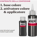 Just for men Șampon colorant h-30 maro