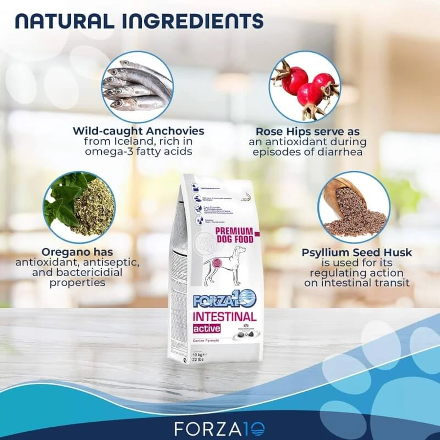 Forza10 Forza 10 intestinal active met vis - volledige dieetvoeding voor honden 10 kg