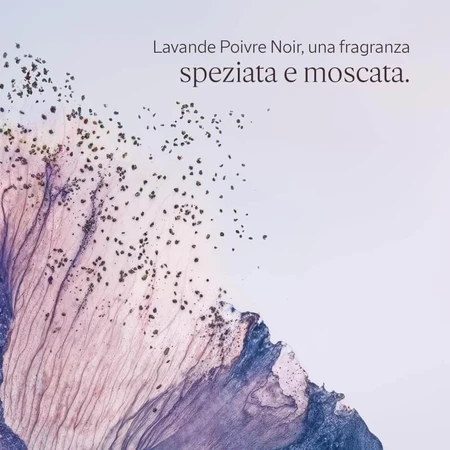 L'occitane lavande poivre noir - geparfumeerde douchegel voor lichaam en haar 250 ml
