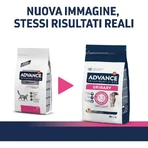 Advance Veterinary diets urinary chicken - complete dieetvoeding voor volwassen katten met urinewegproblemen 1.5 kg