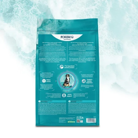 Forza10 Maintenance fish - complete dry food for large adult dogs 12 kg
