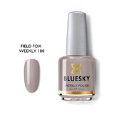 Smalto per unghie Bluesky Field Fox 15ml