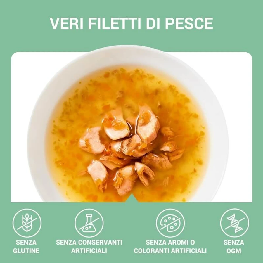 Schesir Soup somon și morcovi - hrană completă pentru a promova hidratarea la pisici 40 g
