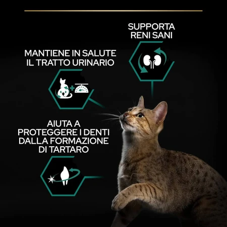 Purina pro plan sterilised adult renal plus rabbit - sterilisiertes Katzenfutter für Erwachsene, Nierengesundheit 10 kg