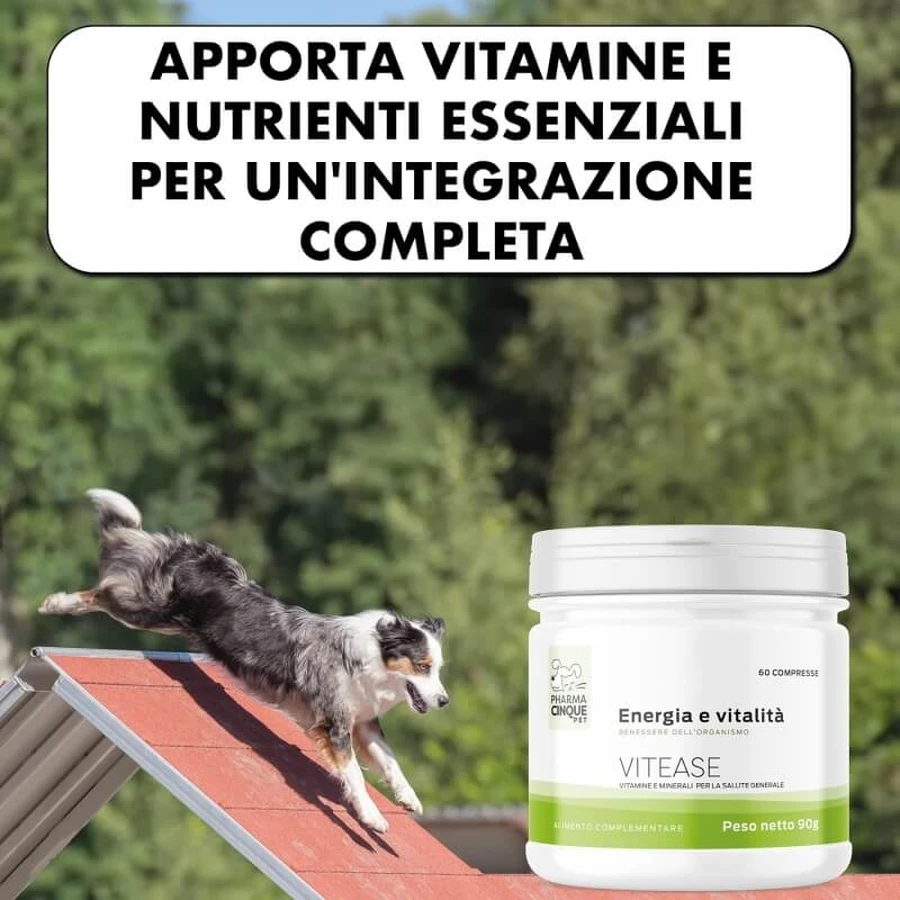 Pharma5pet Vitease energie și vitalitate - hrană complementară pentru câini și pisici 60 comprimate