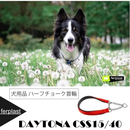 Ferplast Daytona css15-40 - rot gepolstertes Nylon Halbwinkel-Hundehalsband 40 cm 15 mm