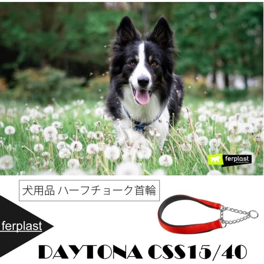 Ferplast Daytona css15-40 - rot gepolstertes Nylon Halbwinkel-Hundehalsband 40 cm 15 mm