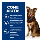 Hill's Prescription diet metabolic lamb and rice - Trockenfutter für ausgewachsene Hunde zur Gewichtserhaltung 10 kg