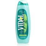 Vidal Almizcle blanco - Baño tonificante 500 ml