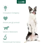 Innovet Glupacur 30 tabletten - aanvullend diervoeder voor honden en katten (gedeukte verpakking)