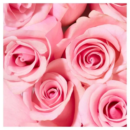 NUXE Gel douche Very Rose 750 ml
